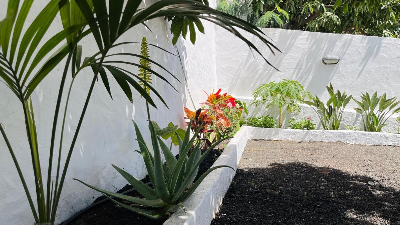Jardin De La Suerte Villa Agaete  Dış mekan fotoğraf